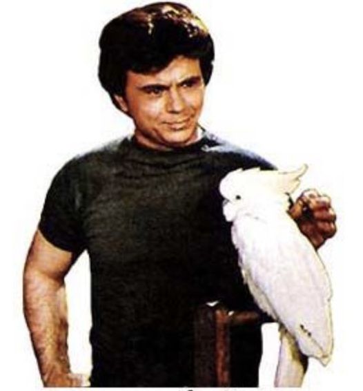 Baretta