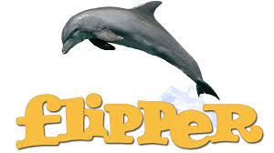 Flipper