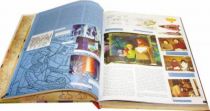 \'\'Les séries de notre enfance\'\' (aka \'\'DIC Cartoons of the Eighties\'\') book - By M. Elusati & N. Zemrak - Editions Pollux