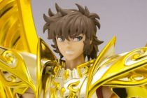 saint_seiya_soul_of_gold_myth_cloth_ex___aioros___chevalier_or_du_sagittaire__5_