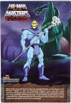 motu_classics___skeletor_filmation__1_