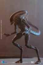 Alien: Resurrection - Hiya Toys -  Alien Warrior 1:18 Scale (PX Previews Exclusive Figure)