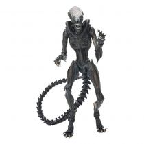 Alien Romulus - NECA - Scorched Xenomorph