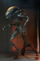 Alien Romulus - NECA - Scorched Xenomorph