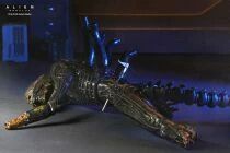 Alien Romulus - NECA - Suspended Lab Xenomorph XX121 Deluxe