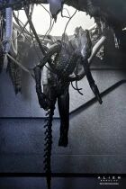 Alien Romulus - NECA - Suspended Lab Xenomorph XX121 Deluxe