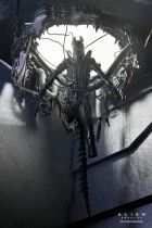 Alien Romulus - NECA - Suspended Lab Xenomorph XX121 Deluxe