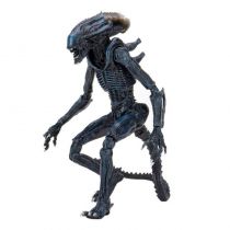 Alien vs Predator - NECA - Arachnoid Alien