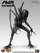 Alien vs. Predator (AVP) - Hot Toys - Alien Warrior 05