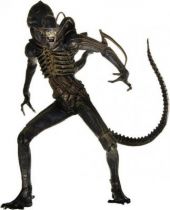 Aliens - NECA - Alien Warrior (James Cameron\'s Movie)