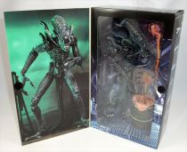 Aliens - NECA - Xenomorph Warrior (blue) \ Ultimate Edition\ 