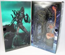 Aliens - NECA - Xenomorph Warrior (brown) \ Ultimate Edition\ 