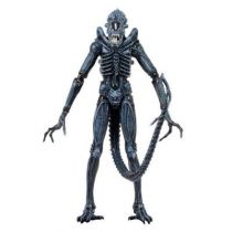 Aliens - NECA - Xenomorph Warrior 