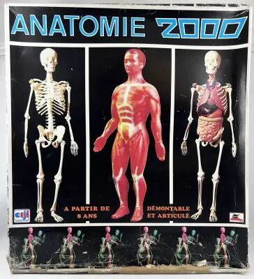 Anatomie 2000 - Coffret d\'apprentissage �ducatif - C�ji 