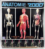 Anatomie 2000 - Coffret d\'apprentissage éducatif - Céji 