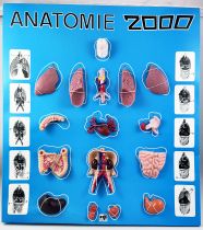 Anatomie 2000 - Coffret d\'apprentissage éducatif - Céji 