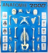 Anatomy 2000 - Educative Playset - Céji