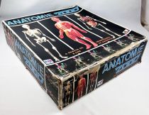 Anatomy 2000 - Educative Playset - Céji