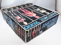 Anatomy 2000 - Educative Playset - Céji