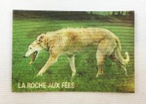 Animaux Préhistoriques et Ceux d\'aujourd\'hui - Ani-Magic (Visiomatic) - La Roche aux Fées n° 18