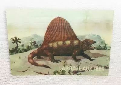 Animaux Pr�historiques et Ceux d\'aujourd\'hui - Ani-Magic (Visiomatic) - La Roche aux F�es n� 21