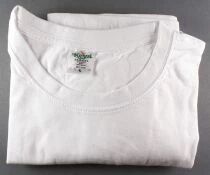 Asterix - 2017 Keysa White T-shirt -  Asterix et la Transitalique New (Size L)