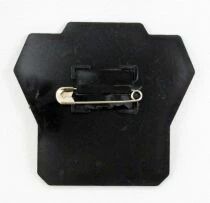 Badge du Club des Maitres de l\'Univers