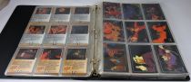 Batman The Animated Series - Skybox - Trading cards near complete set with chase cards - 1993-1995