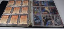 Batman The Animated Series - Skybox - Trading cards near complete set with chase cards - 1993-1995