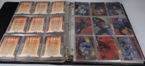 Batman The Animated Series - Skybox - Trading cards near complete set with chase cards - 1993-1995