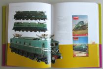 Book The Great Toy Train Adventure Dupuis Lamming Bachès 2009