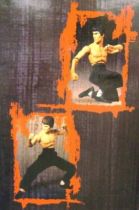 Bruce Lee - 18\\\'\\\' action figure Art Asylum