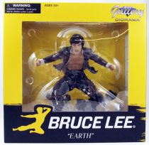 Bruce Lee - 8\  PVC Statue Bruce Lee \ Earth\  - Diamond Gallery Diorama