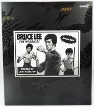 Bruce Lee - Super7 - Ultimates 6\  Figure - The Warrior