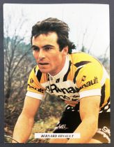 Carte Postale - Equipe Renault Gitane 1978 - Bernard Hinault