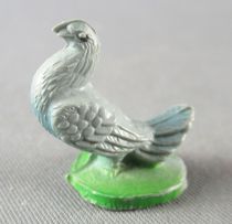 Clairet - La Ferme - Basse-cour pigeon