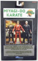 Cobra Kai -  Diamond - Chozen Toguchi - Figurine 17cm