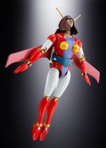 (copie) Mazinger Z - Bandai Soul of Chogokin GX-108 Rhein-X1 & GX11R Dianan-A