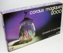 coraux_magiques_2000___coffret_apprentissage_educatif___ceji_1980__2_