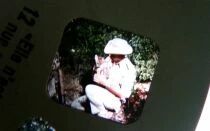 Daktari - 3 x View-Master Discs Set Loose Ref. B 498-F