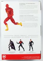 DC Comics Essentials - The Flash Speed Force