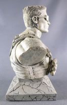Duke Nukem - Resin Bust 12cm 5\  2011 - Carpe Nukem