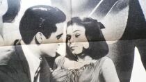 Elvis Presley Blondes Brunes et Rousses - Movie Poster 60x80cm - Metro-Goldwin-Mayer 1963