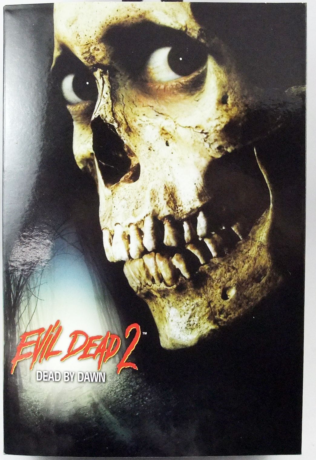 Evil Dead 2: Dead By Dawn