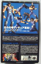 Fist of the North Star Revolution - Rei - Kaiyodo Revoltech