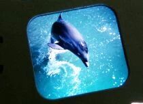 Flipper - Livret & 3 Disques View-Master 3D R&eacute;f. B 485 -F