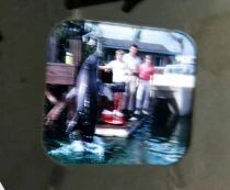  Flipper - View-Master 3 Discs Set + Complet Story (GAF) Ref. NB 485 -F