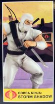 G.I.Joe A Real American Hero - Sunbow TV Series Storm Shadow 9\  PVC Statue