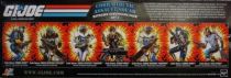 G.I.JOE ARAH 25th Anniversary - 2008 - Extreme Conditions Pack : Cobra Arctic Assault Squad