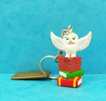 Harry Potter - Achterbahn AG - Keychain - Hedwig & Books of Magic
